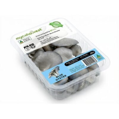 Mycoharvest Blue Oyster Mushrooms 200g