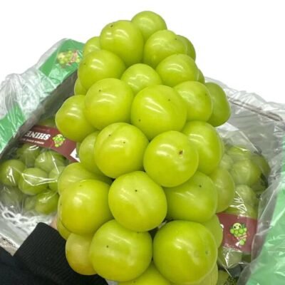 Korean Premium Shine Muscat Grapes Gift Box 2kg – Seedless Green Grapes Gourmet Grocer Korean Premium Shine Muscat Grapes Gift Box 2kg - Seedless Green Grapes