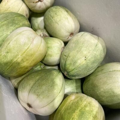 Sweet Crisp Melon - 1 Piece (500g)