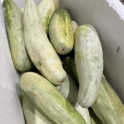 Yangjiao Honey Melon (Chinese Sweet Melon) – 1kg