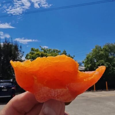 3 Lemons Frozen Honey Persimmon 500g