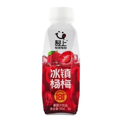 Qingshang Iced Bayberry Juice Drink 360mL