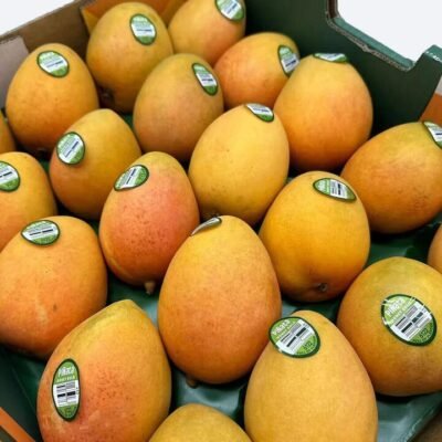 Piñata Honey Gold Mangoes – Medium, 2 Pieces Gourmet Grocer Piñata Honey Gold Mangoes - Medium, 2 Pieces
