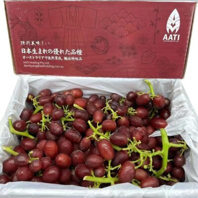 AATI Japanese Rose Muscat Grapes Gift Box – 2kg Carton Gourmet Grocer AATI Japanese Rose Muscat Grapes Gift Box - 2kg Carton