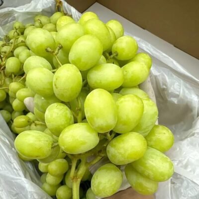 Yummy Sweet Globe Green Grapes 900g – Export Grade, Crisp & Sweet