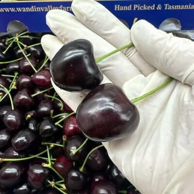 Wandin Valley Farms Tasmanian Kordia Cherries 28–30mm - 500g Box