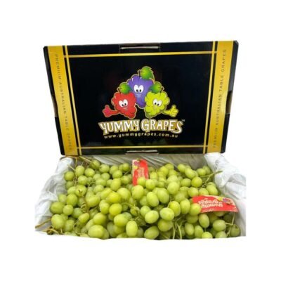 Yummy Grapes Sweet Globe Candy Grapes – Whole Carton 4.5kg