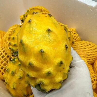 Colombian Yellow Dragon Fruit – 1 Piece (250g) Gourmet Grocer Colombian Yellow Dragon Fruit - 1 Piece (250g)