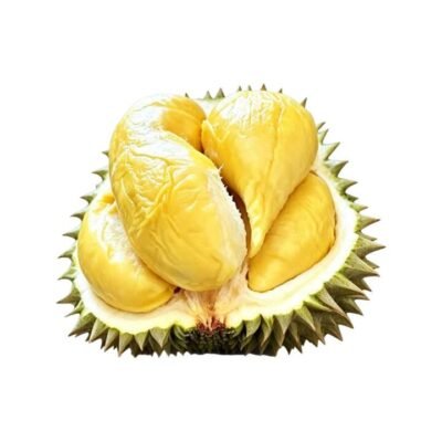 Malaysian Air-Flown Tree-Ripened D163 Gourd Durian Pulp 400g