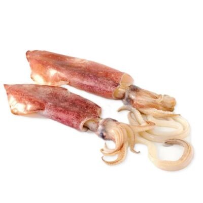 Frozen Whole Squid (20–25cm) - 1kg